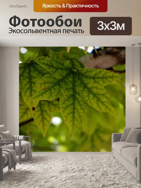 Фотообои Кленовые листья