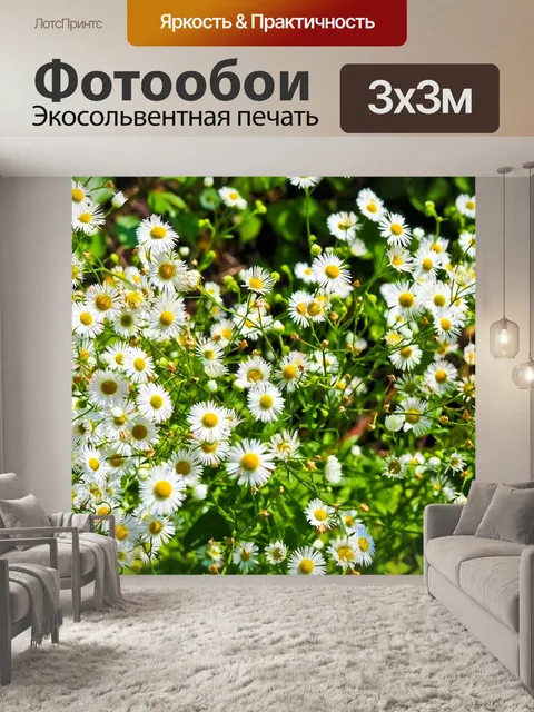 Фотообои Цветок