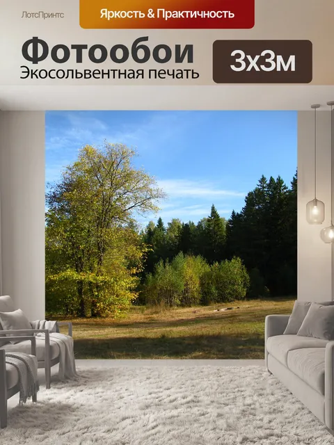 Фотообои Лес