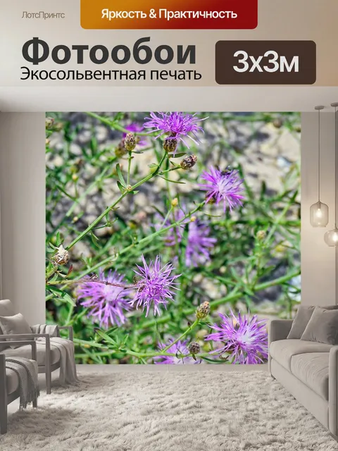Фотообои Полевые цветы