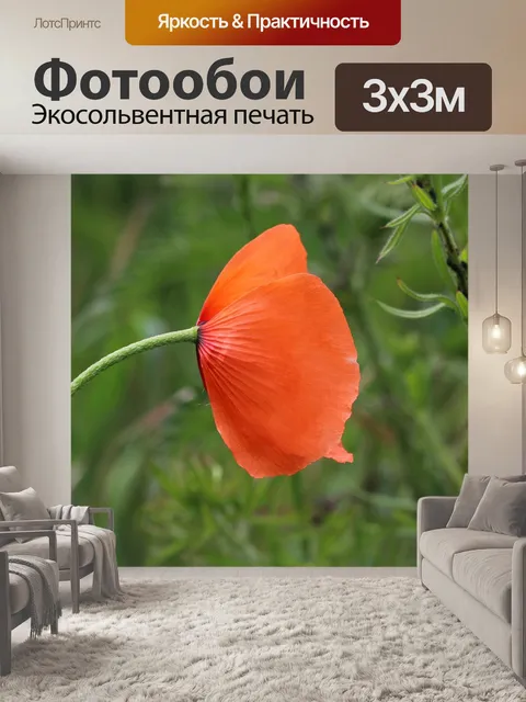 Фотообои Мака