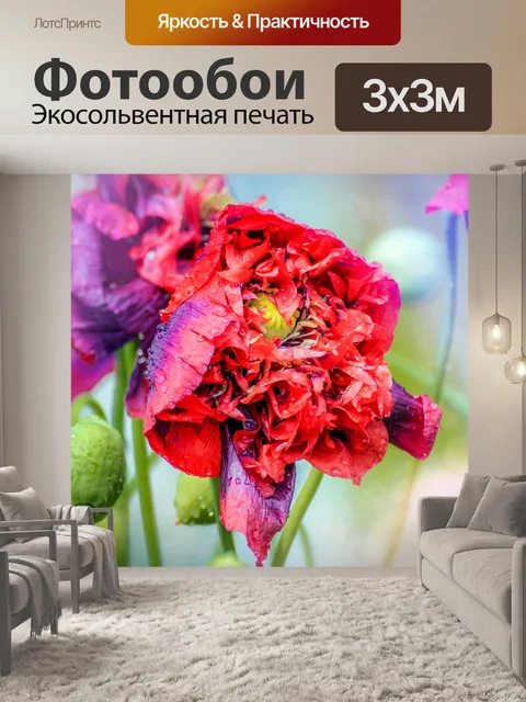 Фотообои Цветы мака