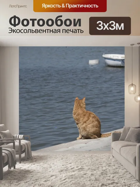 Фотообои Кошка