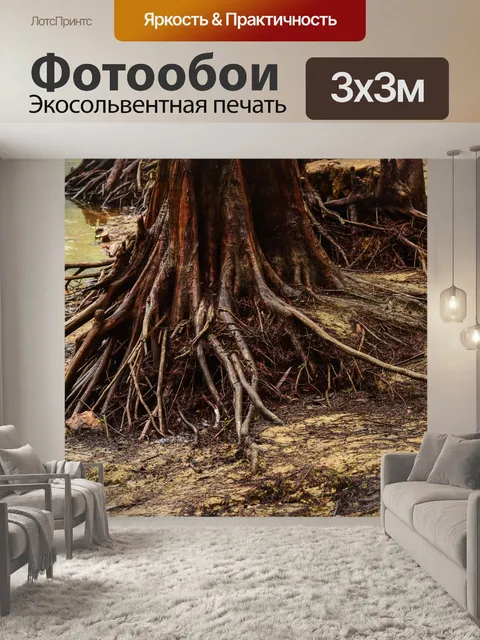 Фотообои Джунгли