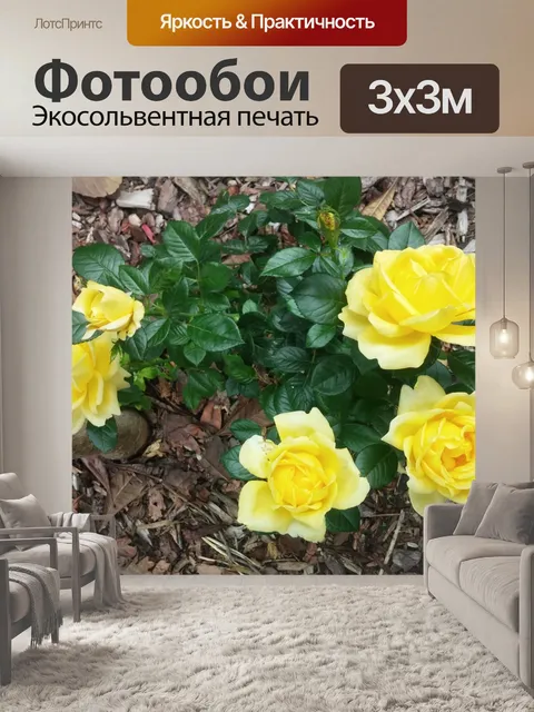 Фотообои Желтая роза