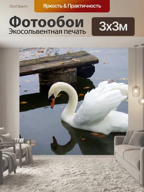 Фотообои Лебедь