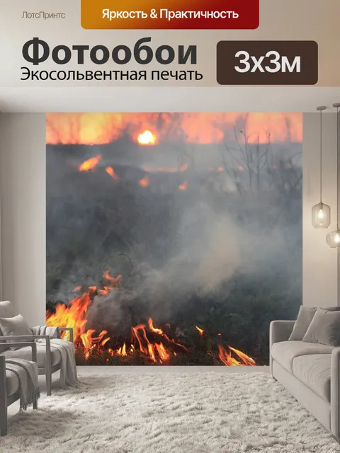 Фотообои Пожар