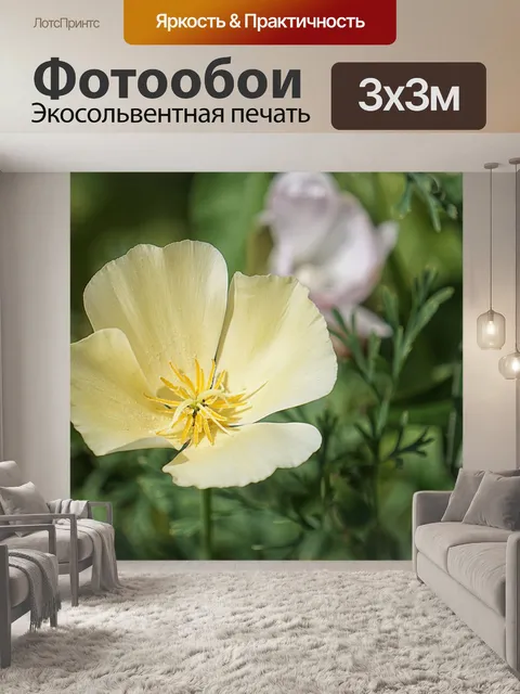 Фотообои мак