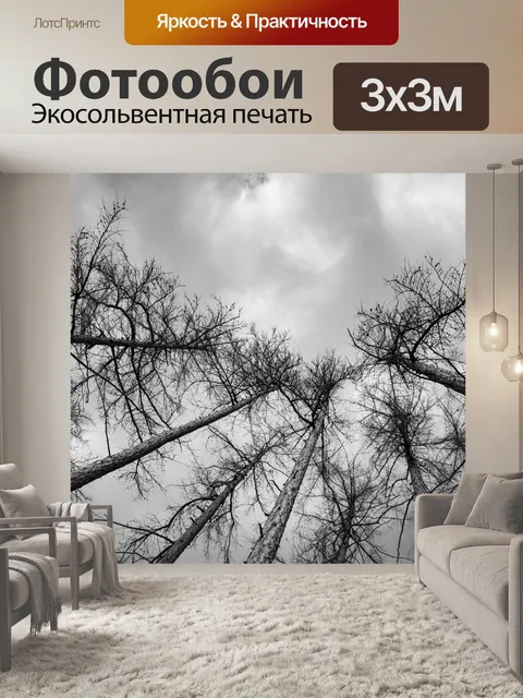 Фотообои Деревья без листьев