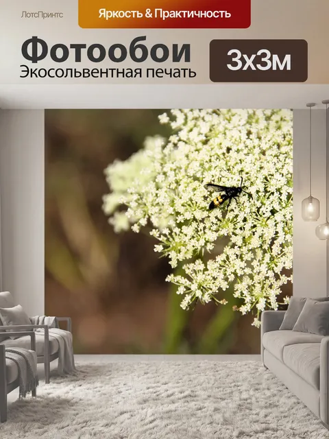 Фотообои Цветы