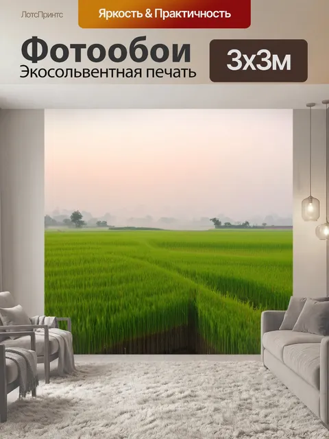 Фотообои китай: утренний туман над рисовыми полями, создающий ощущение спокойствия и мечтательности