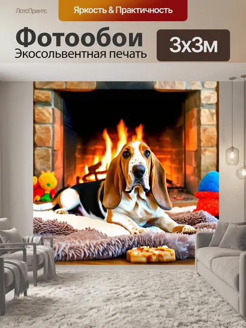 Фотообои в фокусе — бассет-хаунд с длинными ушами