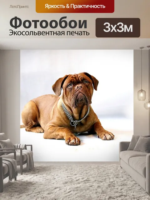 Фотообои Собака