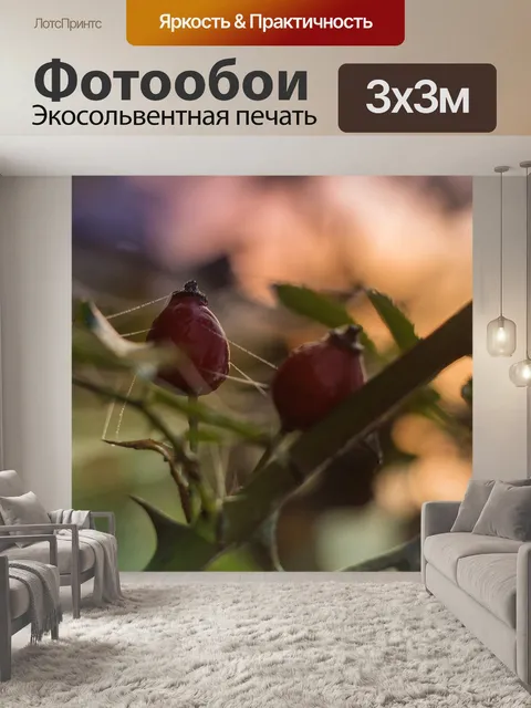 Фотообои Шиповник
