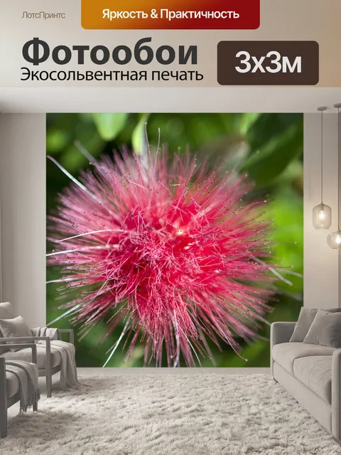 Фотообои Цветы