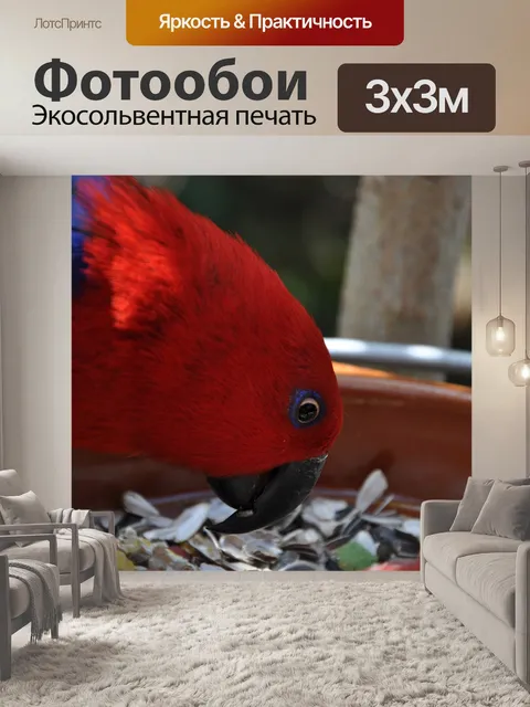 Фотообои Птица