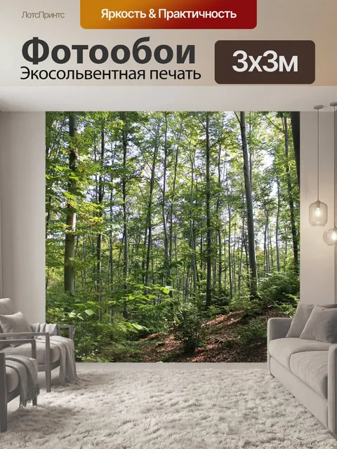 Фотообои Лес