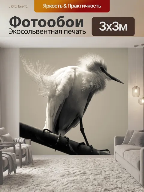Фотообои Птица