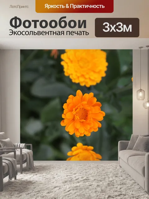 Фотообои Цветок