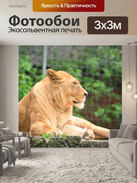 Фотообои Лев