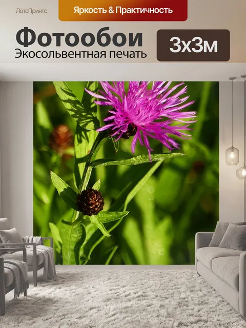 Фотообои Природа