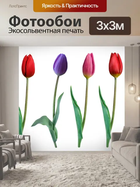 Фотообои Тюльпаны