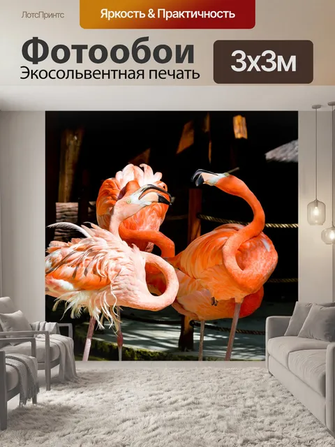 Фотообои Птицы