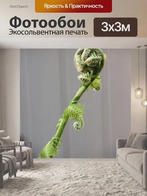 Фотообои Папоротник ветвь