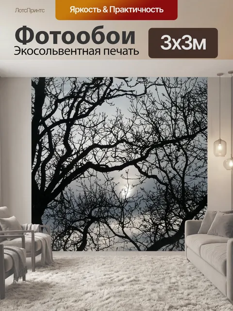 Фотообои Ветви