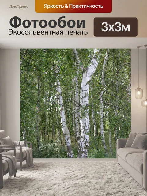 Фотообои Береза