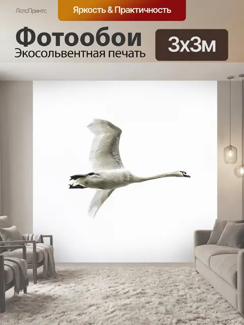 Фотообои Лебедь