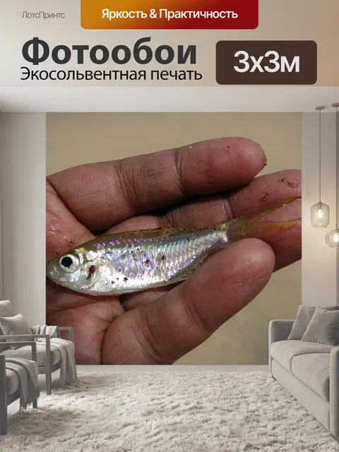 Фотообои Пескарь