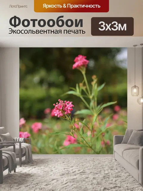 Фотообои Цветы