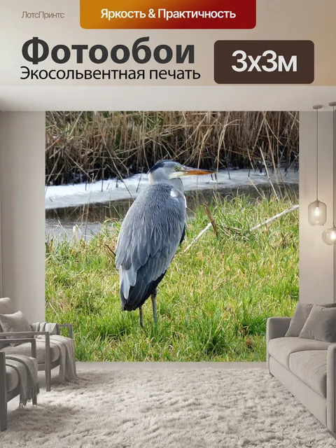 Фотообои Птицы