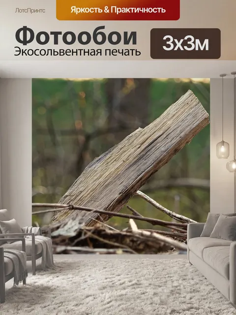 Фотообои Древесина