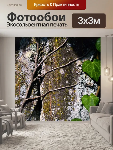 Фотообои Дерево