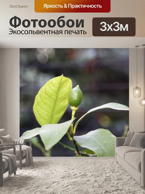 Фотообои Лимон