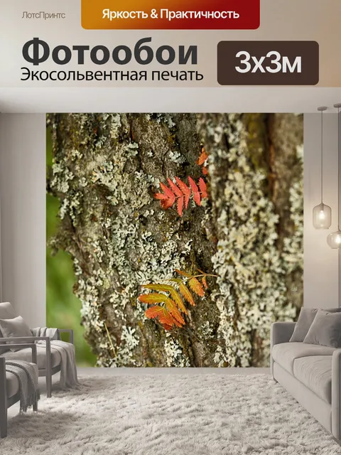Фотообои Лист
