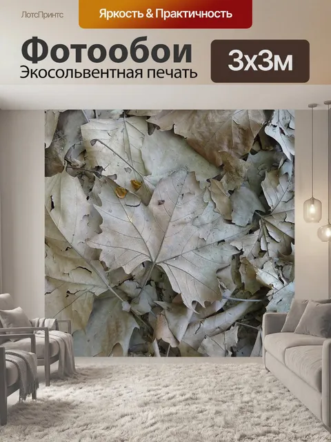 Фотообои Клен