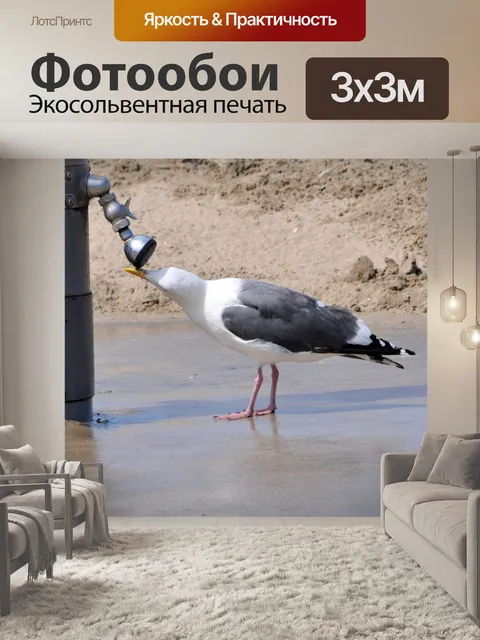 Фотообои Пить Чайка # 2