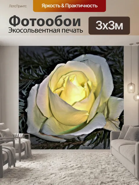Фотообои Роза