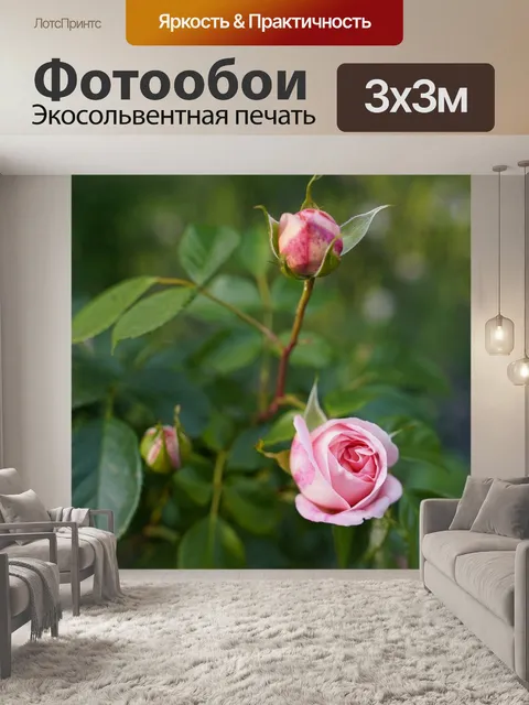 Фотообои Сад