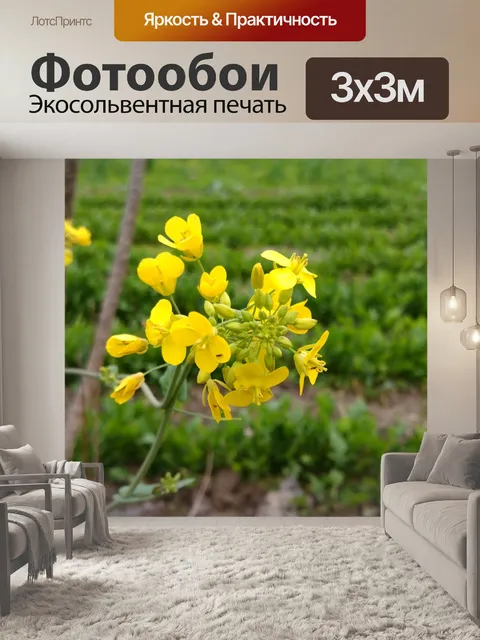 Фотообои Цветы