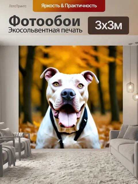 Фотообои Крупный план головы собаки породы питбуль с белым окрасом