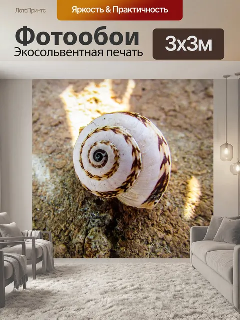 Фотообои Оболочка