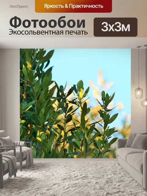 Фотообои лавровый лист филиалы
