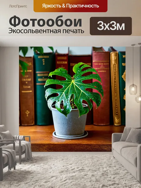 Фотообои монстера с каплями росы на листьях