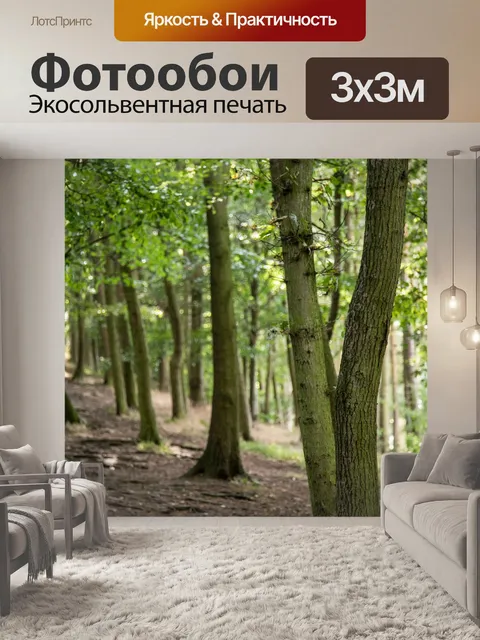 Фотообои лес