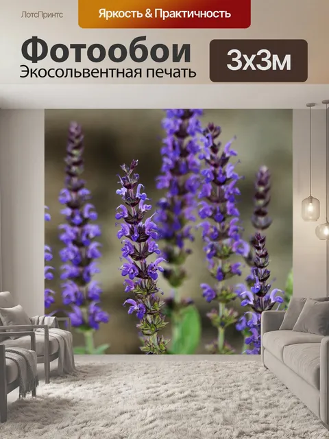 Фотообои Голубые цветы Сальвии