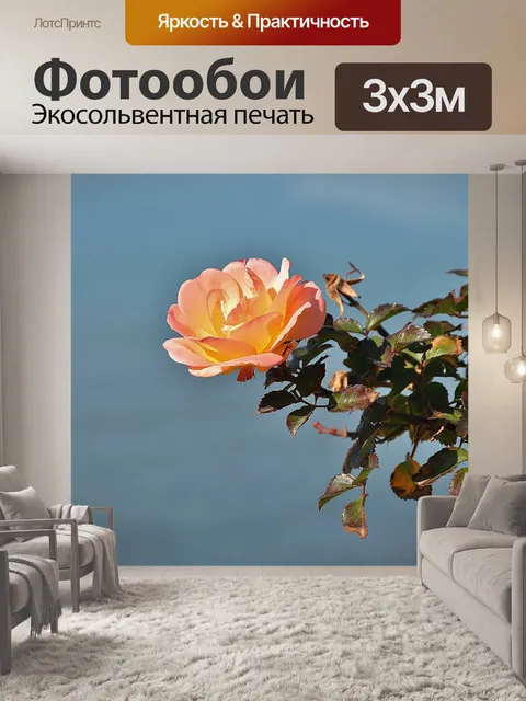 Фотообои Розы